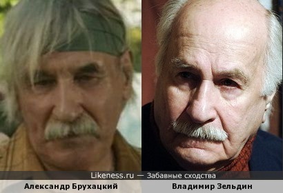 Александр Брухацкий похож на Владимира Зельдина