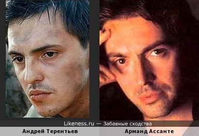 Андрей Терентьев похож на Арманда Ассанте