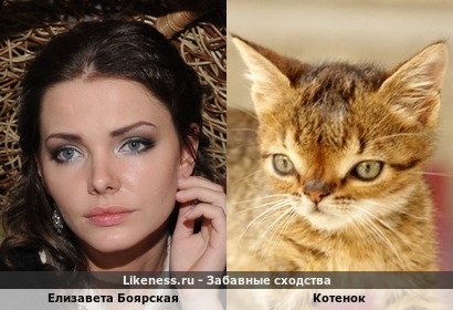 Елизавета Боярская похожа на Котенка