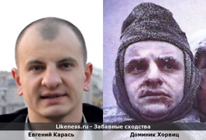 Евгений Карась похож на Доминика Хорвица