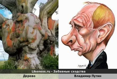 Дерево напоминает Владимира Путина