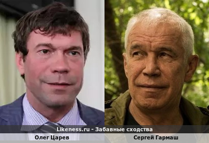 Олег Царев похож на Сергея Гармаша