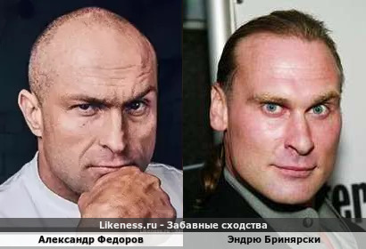 Александр Федоров похож на Эндрю Бринярски 2
