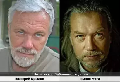 Дмитрий Крылов похож на Тыниса Мяги