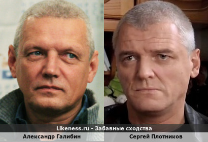 Александр Галибин похож на Сергея Плотникова