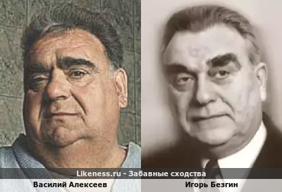 Василий Алексеев похож на Игоря Безгина