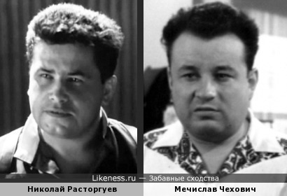 Николай Расторгуев похож на поляка Чеховича