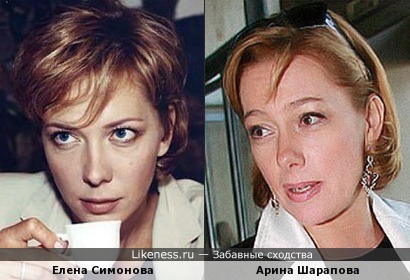 Елена Симонова похожа на Арину Шарапову