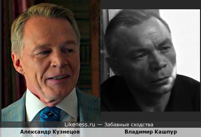 Александр Кузнецов стал похож на Владимира Кашпура