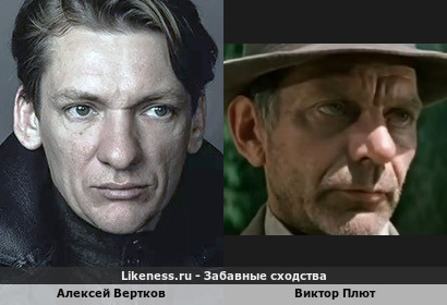 Алексей Вертков похож на Виктора Плюта