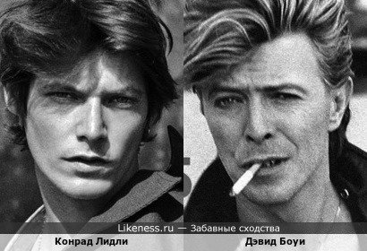 Модель Конрад Лидли напомнил мне Дэвида Боуи