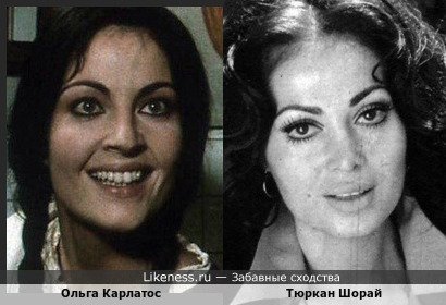 Ольга Карлатос похожа на Тюркан Шорай