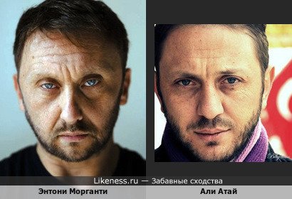 Энтони Морганти и Али Атай