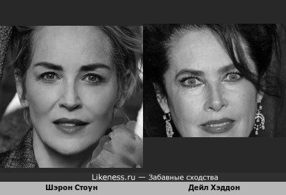 Шэрон Стоун и канадская модель, актриса, балерина и писательница Дейл Хэддон