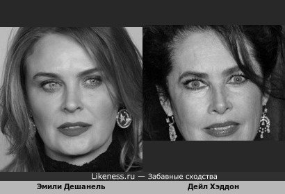 Эмили Дешанель и Дейл Хэддон