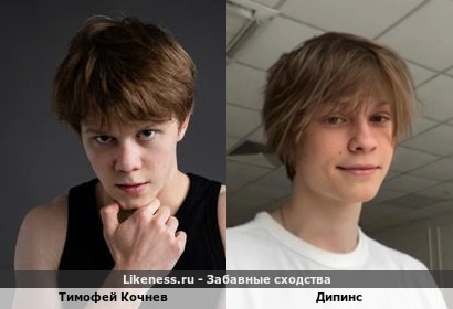 Тимофей Кочнев напоминает дипинс