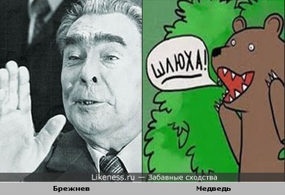 Леонид Ильич против Медведя