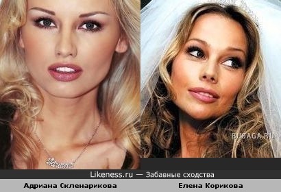 Адриана Скленарикова похожа на Елену Корикову