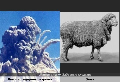Пыль от ядерного взрыва похожа на овцу
