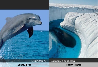Рельеф известняковой горы в Памуккале (Турция) похож на дельфина