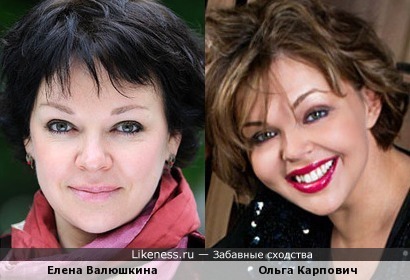 Ольга Карпович похожа на Елену Валюшкину