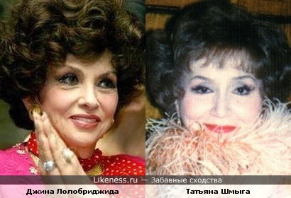 Джина Лолобриджида и Татьяна Шмыга похожи