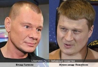 Боксер Александр Поветкин похож на актера Влада Галкина