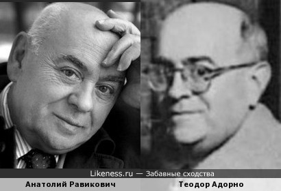 Анатолий Равикович и Теодор Адорно