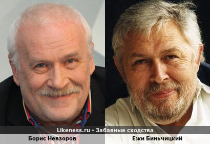 Борис Невзоров похож на Ежи Биньчицкого
