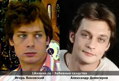 Игорь Янковский похож на Александра Домогарова