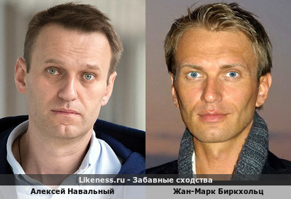 Алексей Навальный похож на Жан-Марка Биркхольца