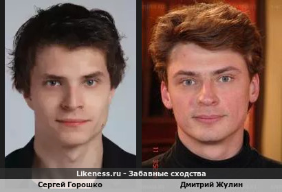 Сергей Горошко похож на Дмитрия Жулина