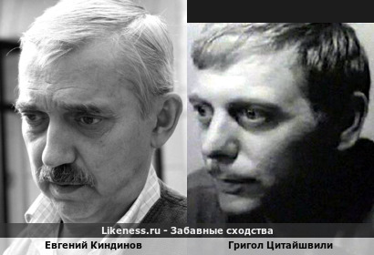 Евгений Киндинов похож на Григола Цитайшвили