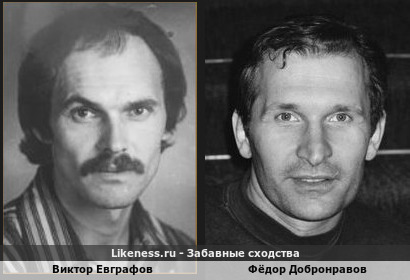 Виктор Евграфов и Фёдор Добронравов похожи