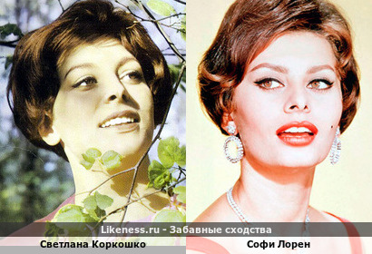 Светлана Коркошко похожа на Софи Лорен