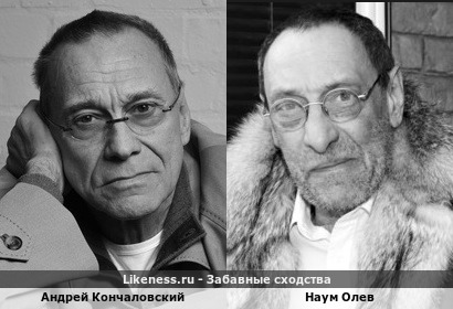 Андрей Кончаловский похож на Наума Олева