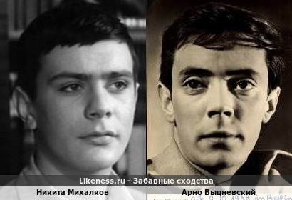 Никита Михалков похож на Арно Выцневского