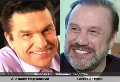Анатолий Марчевский похож на Виктора Батурина