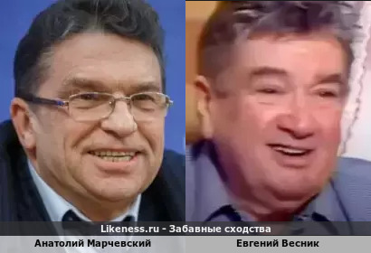 Анатолий Марчевский похож на Евгения Весника