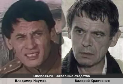 Владимир Наумов и Валерий Кравченко похожи
