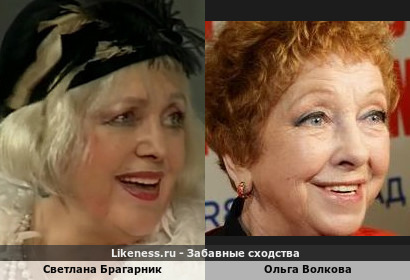 Светлана Брагарник похожа на Ольгу Волкову