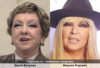 Ольга Волкова похожа на Марылю Родович