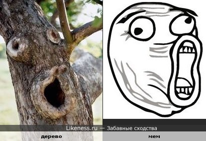 Дерево-мем