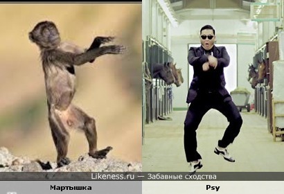 Мартышка танцует Gangnam style