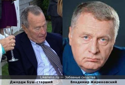 Буш-старший при определенном ракурсе похож на Жириновского
