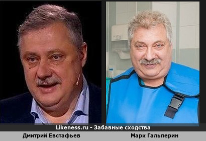 Дмитрий Евстафьев похож на Марка Гальперина