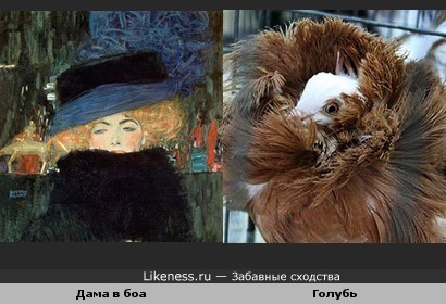 Дама в боа (Г.Климт, 1909) и Голубь