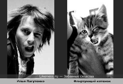 Илья Лагутенко похож на флиртующего котенка