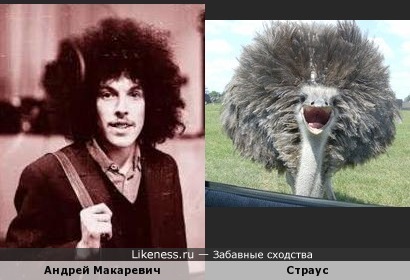 Андрей Макаревич в молодости и страус