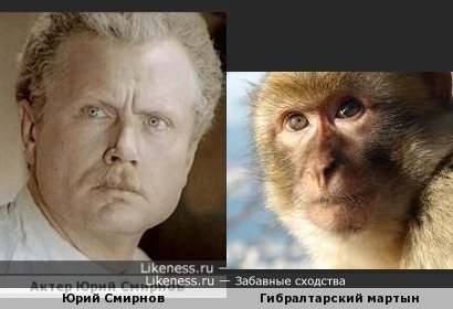 Актер Юрий Смирнов и примат -дубль 2